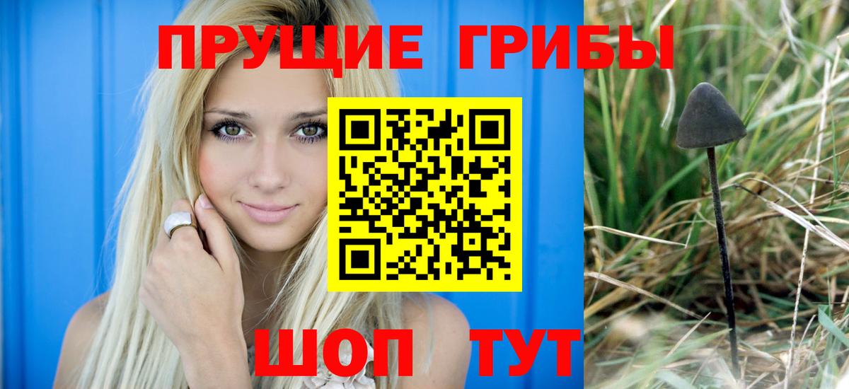 Галлюциногенные грибы Psilocybe  Вход с VPN  Киров 