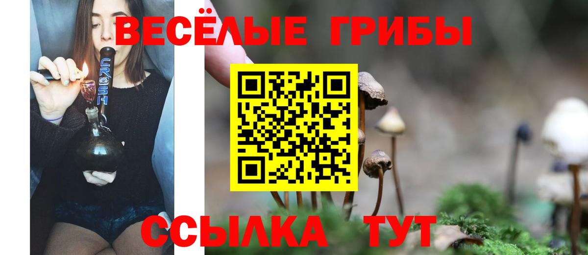 Псилоцибиновые грибы Psilocybe Киров